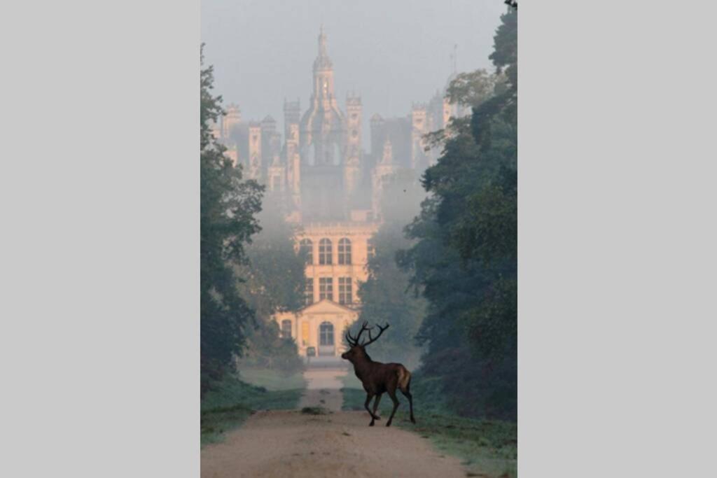 Les Bruyeres De Jeanne Et Rene Zoo De Beauval A 20Min,Chateaux Tout Inclus Fontguenand Exterior foto