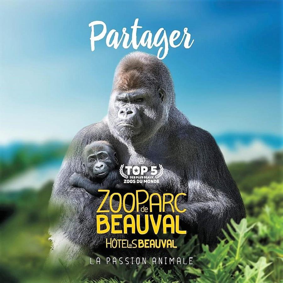Les Bruyeres De Jeanne Et Rene Zoo De Beauval A 20Min,Chateaux Tout Inclus Fontguenand Exterior foto