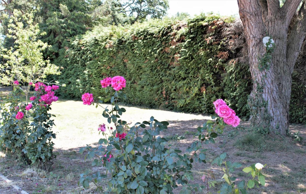 Les Bruyeres De Jeanne Et Rene Zoo De Beauval A 20Min,Chateaux Tout Inclus Fontguenand Exterior foto